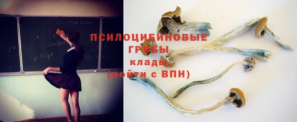 Альфа ПВП Володарск