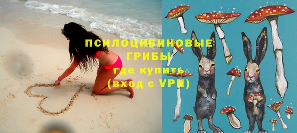 Альфа ПВП Володарск